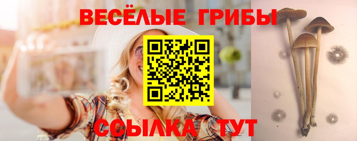 Псилоцибиновые грибы прущие грибы  Галлюциногенные грибы мицелий  Дальнереченск  закладка  Вход с VPN 